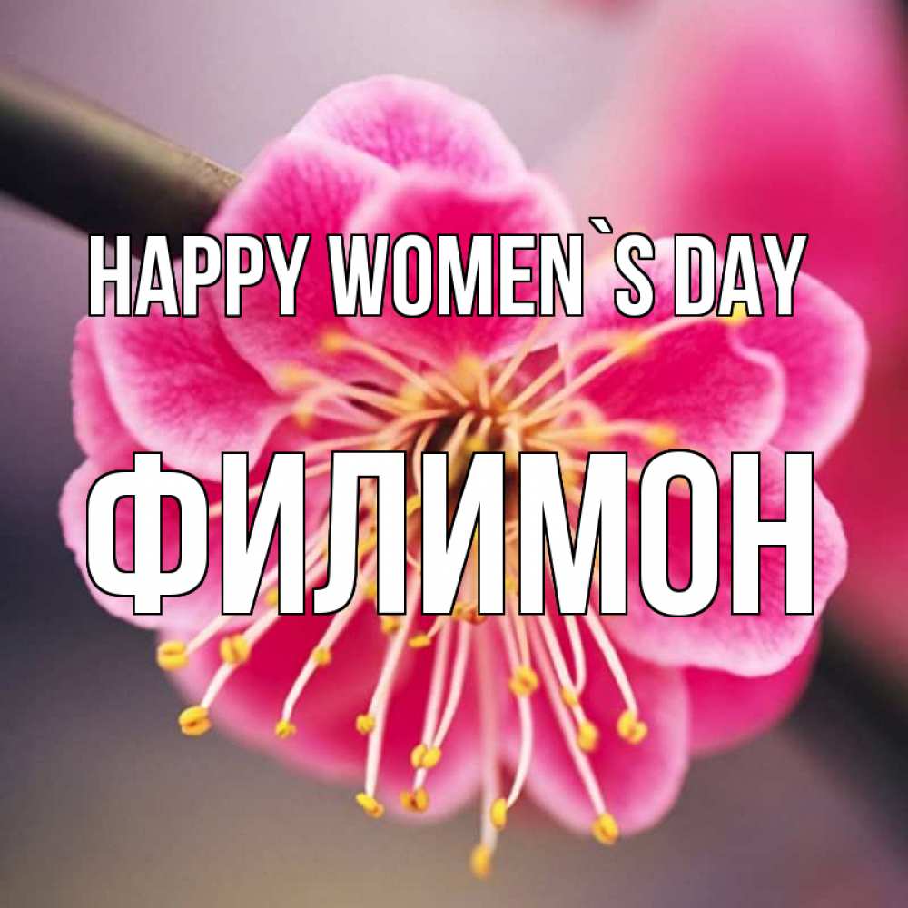 Greetings card с именем, Филимон happy women`s day цветы Greetings with text for free download 